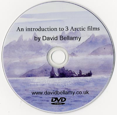 arctic dvd intro sm