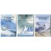 Special Offer - 3 Arctic Expedition DVD's for £30