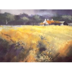 Summer Meadow Card (Pack of 4)