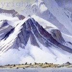 svalbard_copy.jpg